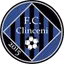 FC Academica Clinceni U19