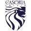 Real Casoria Calcio