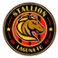 Stallion Laguna FC
