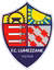 Lumezzane U19