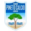 Asd Pineto Calcio