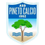 Asd Pineto Calcio