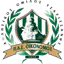 Tsaritsani FC