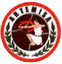 Artemisa FC