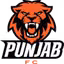 Minerva Punjab