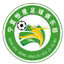 Shizuishan Experimental Star U13
