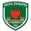 Kestel Cilekspor U19