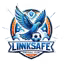 Ji'nan Linksafe