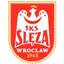 Sleza Wroclaw (nữ)