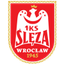 Sleza Wroclaw (nữ)