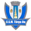 CSM Targu Jiu