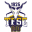 TFSE Budapest