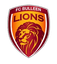 Bulleen Lions U23
