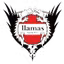 Llamas Kochi FC