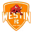 Foshan Sports (nữ)