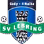 SV Lebring