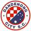 Dandenong City SC