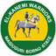 El Kanemi Warriors