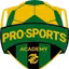 Pro-Sports Academy