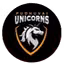 Pudhuvai Unicorns (W)