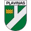 Plavinas DM