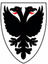 AFC Wimbledon (nữ)