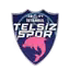 Telsizspor (nữ)