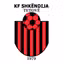 Shkendija U19