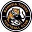 Banksia Tigers FC