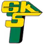 GKS Gornik Leczna (nữ)