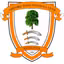 Ashford Town (nữ)