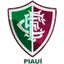 Fluminense PI Youth