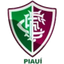Fluminense PI Youth