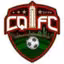 Chongqing FC(2011-2013)