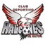 CD Halcones de Rayon