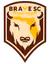 Brave SC