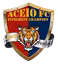 Aceio FC