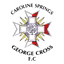 Springs George Cross