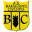 Baraganul Ciulnita