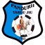 Pandurii Targu Jiu