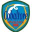 Cobar Torre Onagawa