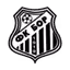 Bor 1919