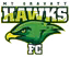 Mount Gravatt Hawks
