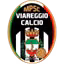 Viareggio Calcio U19