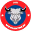 Parintins FC