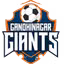 Gandhinagar Giants