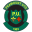 Peamount Utd (nữ)