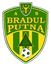 Bradul Putna