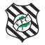 Figueirense SC Youth