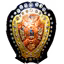 IND IFA Shield League
